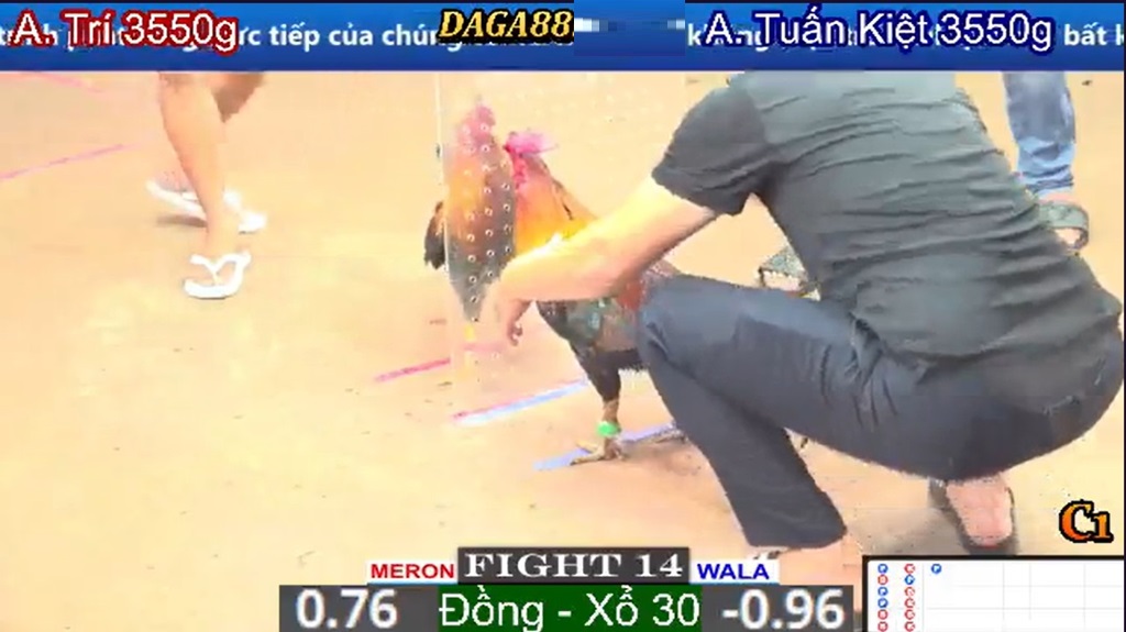 daga88
